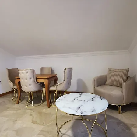 Homes Artemis Apartament